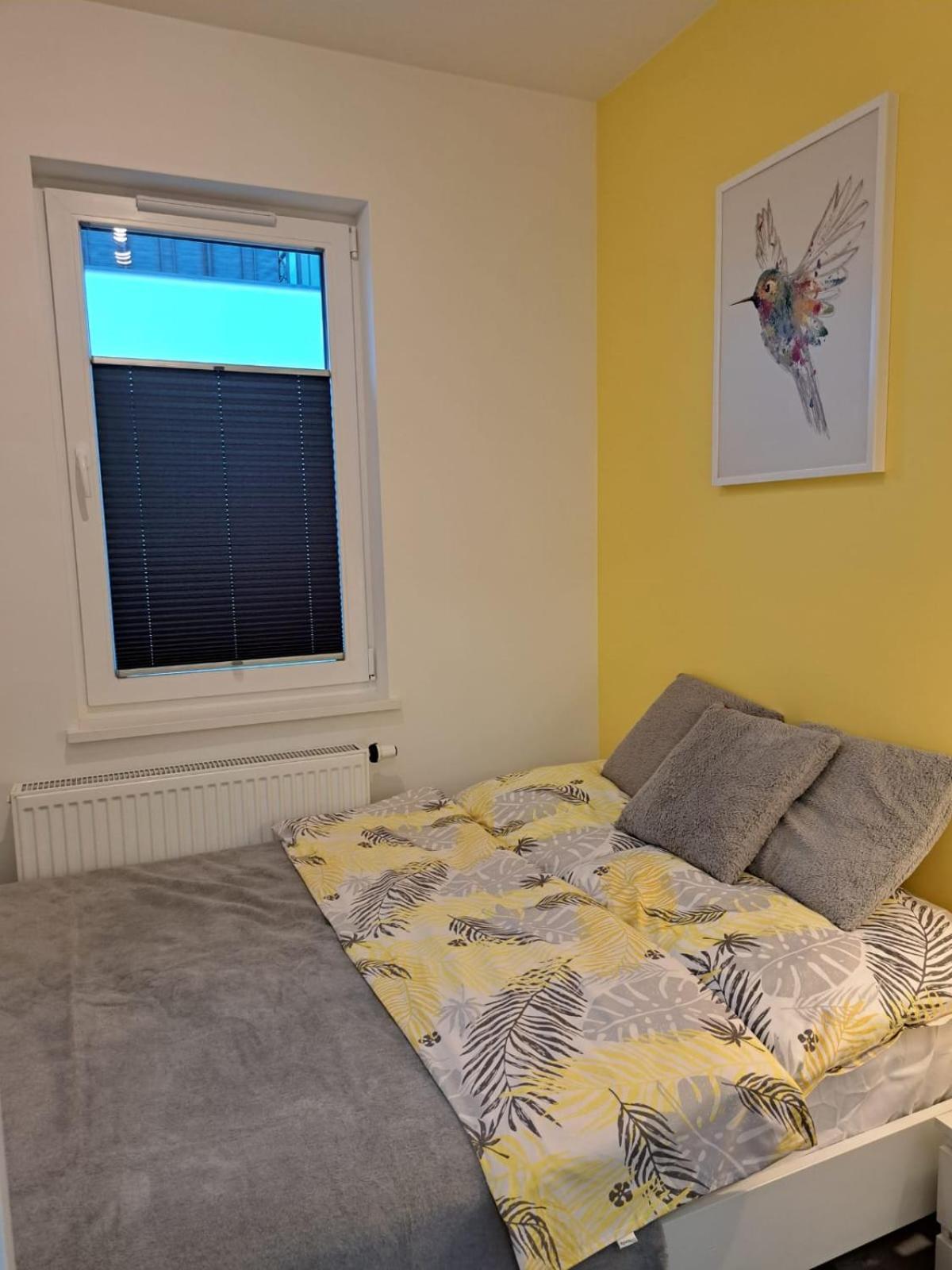 Komfort Alexa Jastrzębia Góra Esterno foto