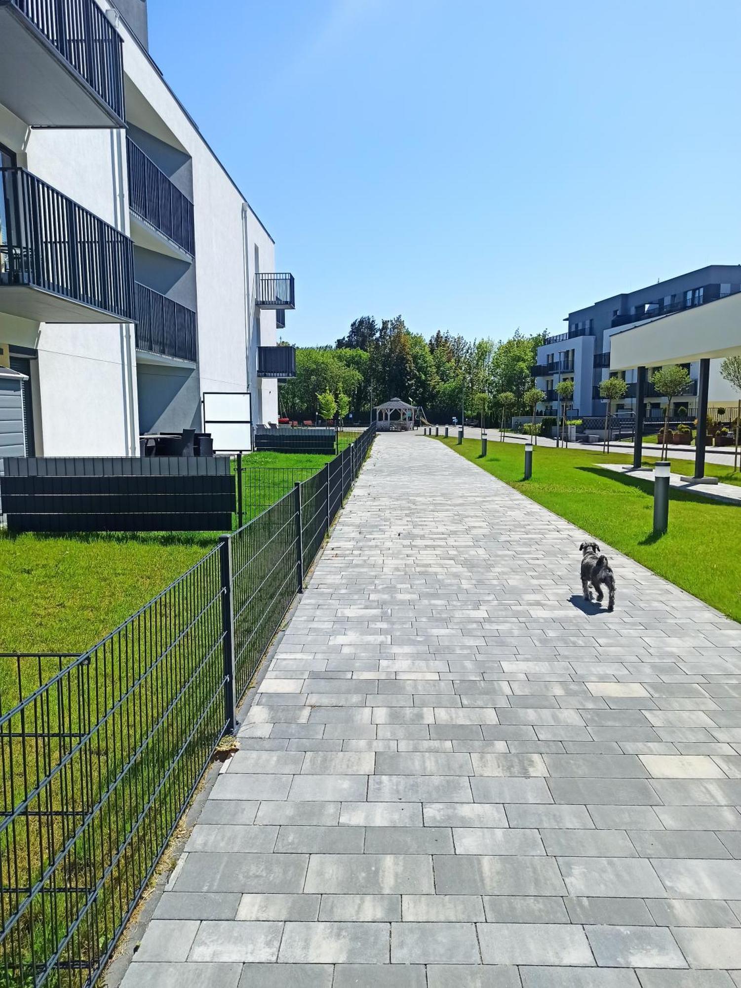 Komfort Alexa Jastrzębia Góra Esterno foto
